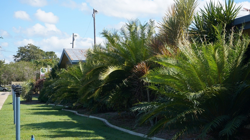 Tropicana Lodge