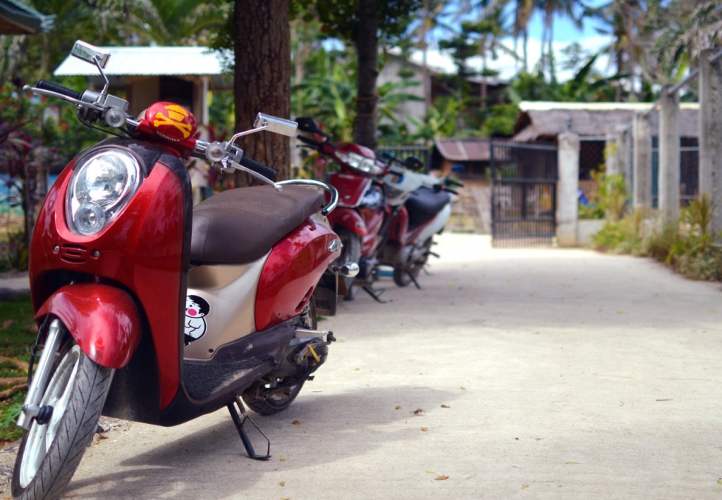 Coco Grove Nature Resort