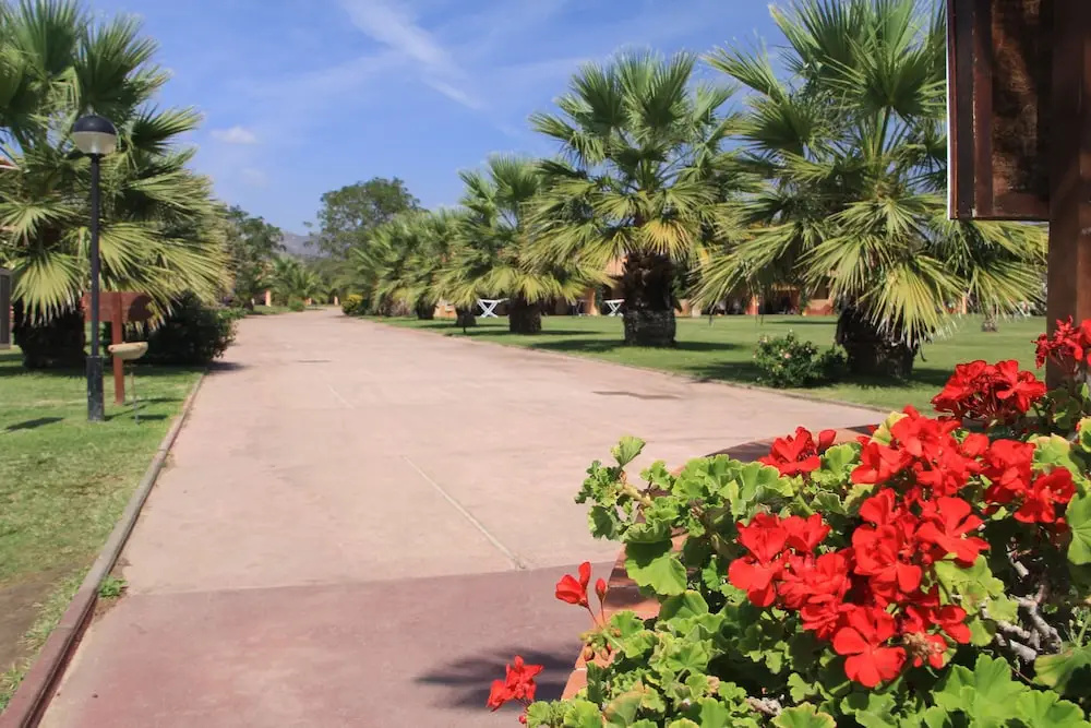 Rey beach Club
