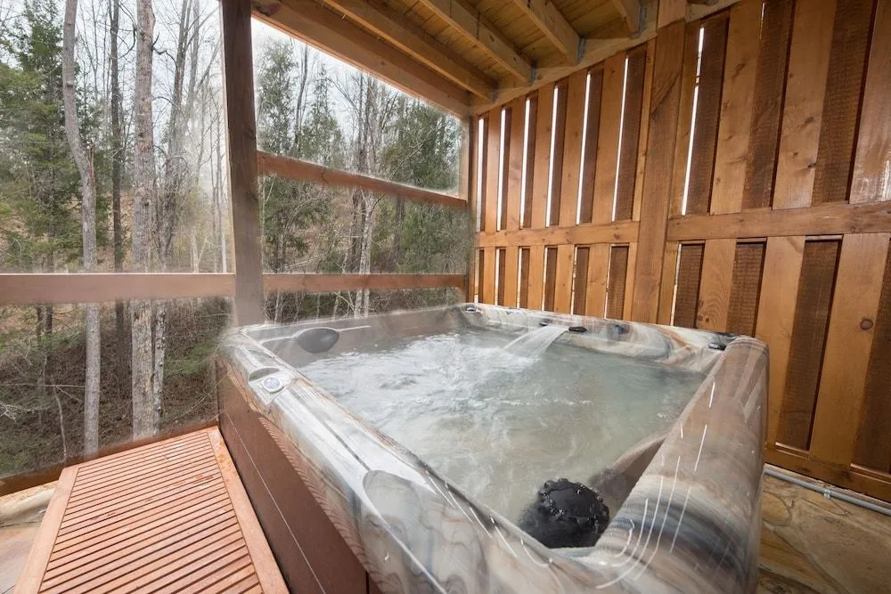 Gone Swimming 4 Bedrooms 4.5 Bathrooms Cabin