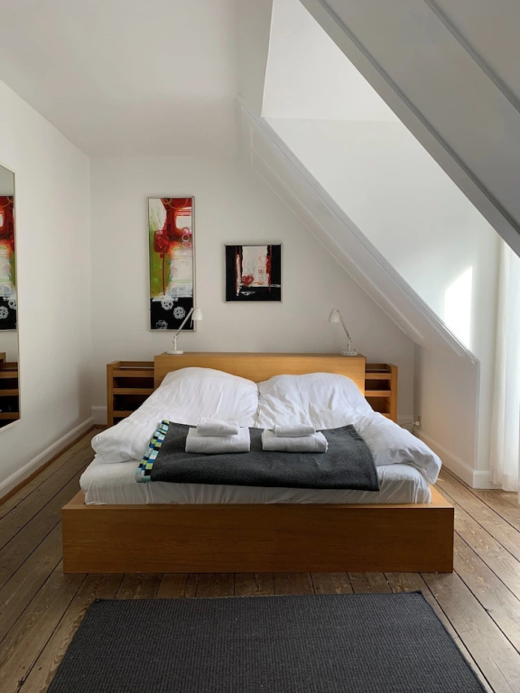 1 bedroom apt Downtown Copenhagen 298-1