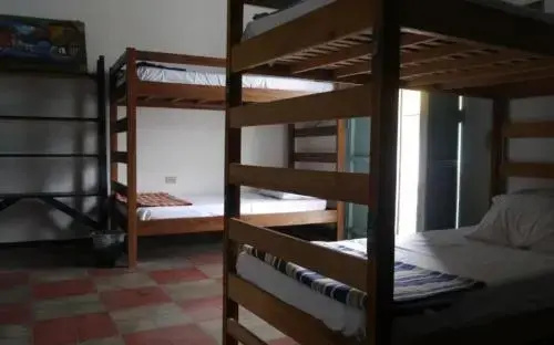 Luna International Hostel