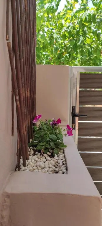 New apartment 1.5km from the city center of Chania