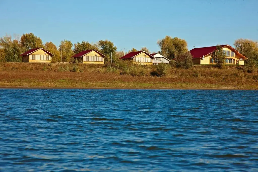 Золотая Рыбка