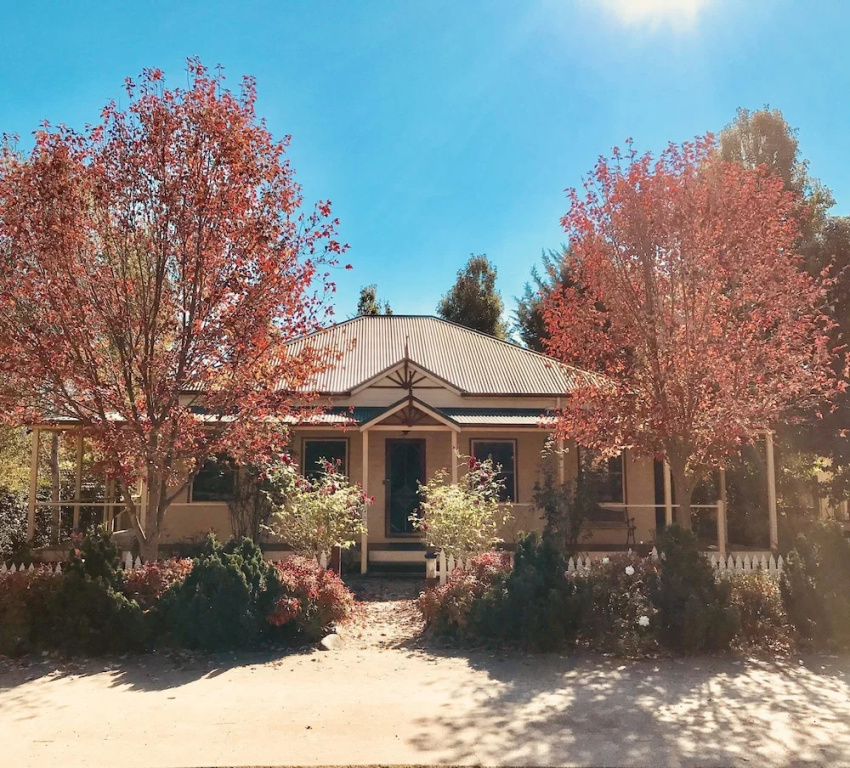 Autumn Beauty 4