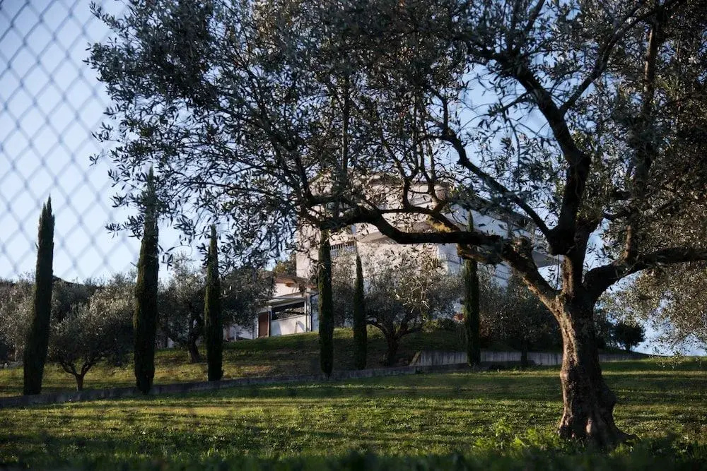 Villa Santoro ai TRE Ulivi con Piscina Privata