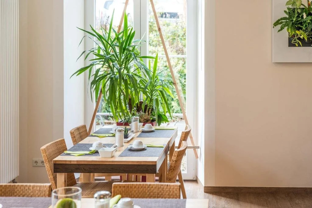 Hotel PrimaVera parco