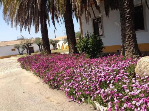 Quinta Da Mata