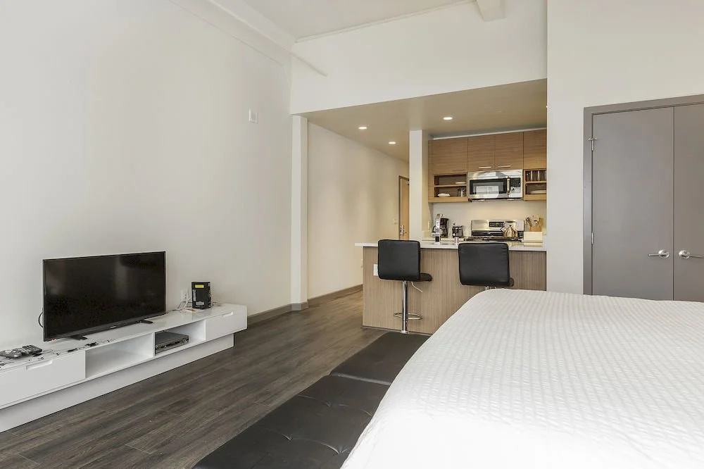 Soma Lofts Apartment