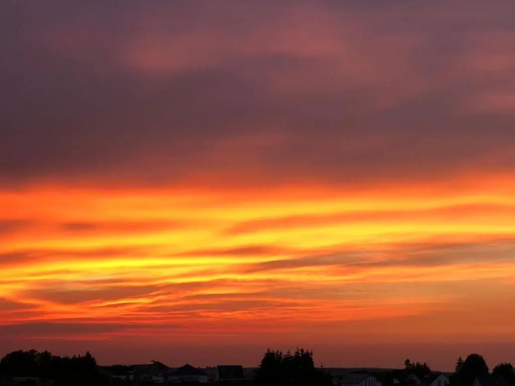 Ferienwohnung am Weiher 1