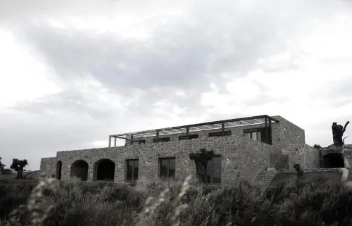 Datca Vineyard