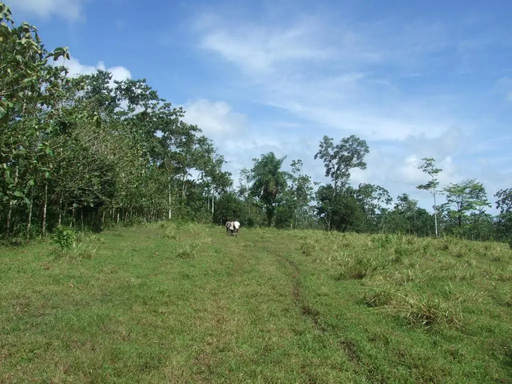 Vocaré Finca Agroecológica