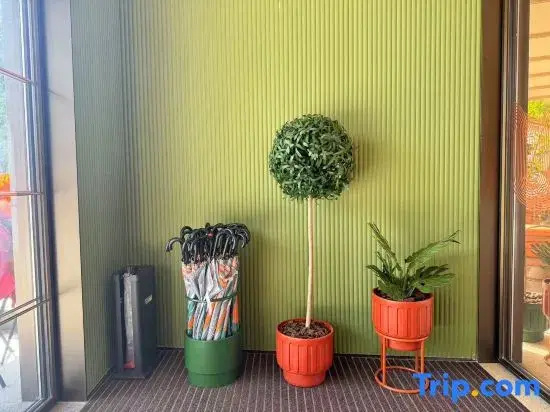 Orange Hotel (Wuhu Fenghuang Food Street Bailian Branch)