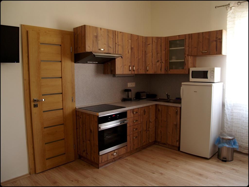 Apartment Krále Jiřího