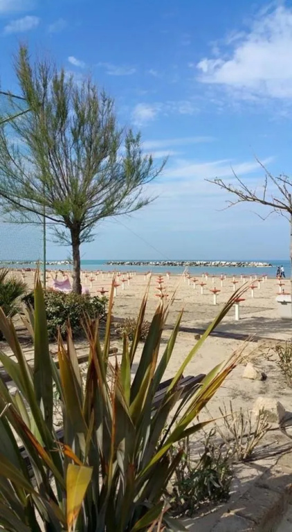 Hotel La Pace - Bianchi Hotels