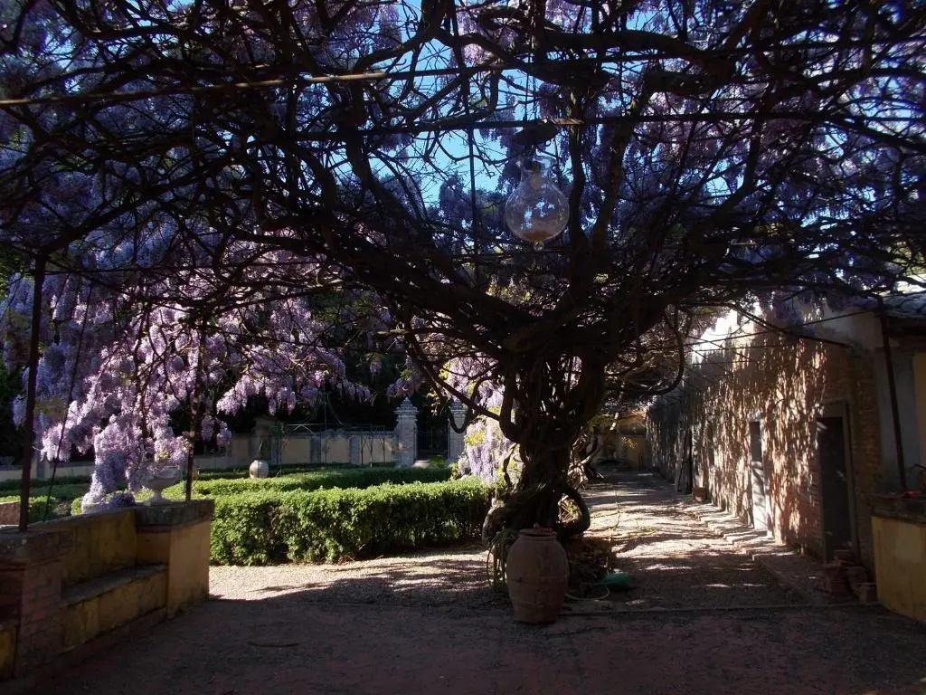 San Martinello