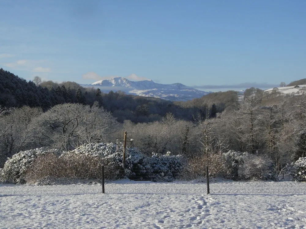 Y Bwythyn at Henfaes