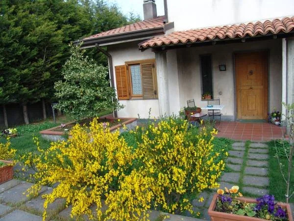 B&B Magnolia