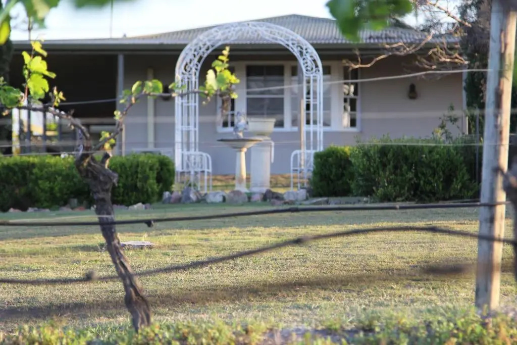 Blueberry Hill Vineyard Stay