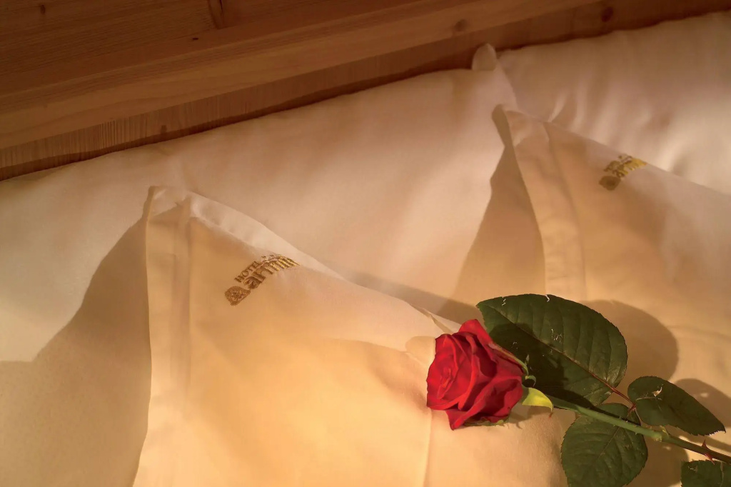 Hotel Armin