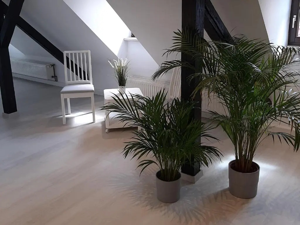 Bugenhagen - Classic Appartements