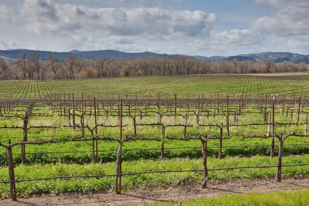 Hampton Inn & Suites Windsor-Sonoma Wine Country