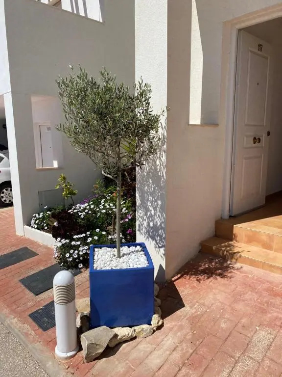 Casa Mediterranea