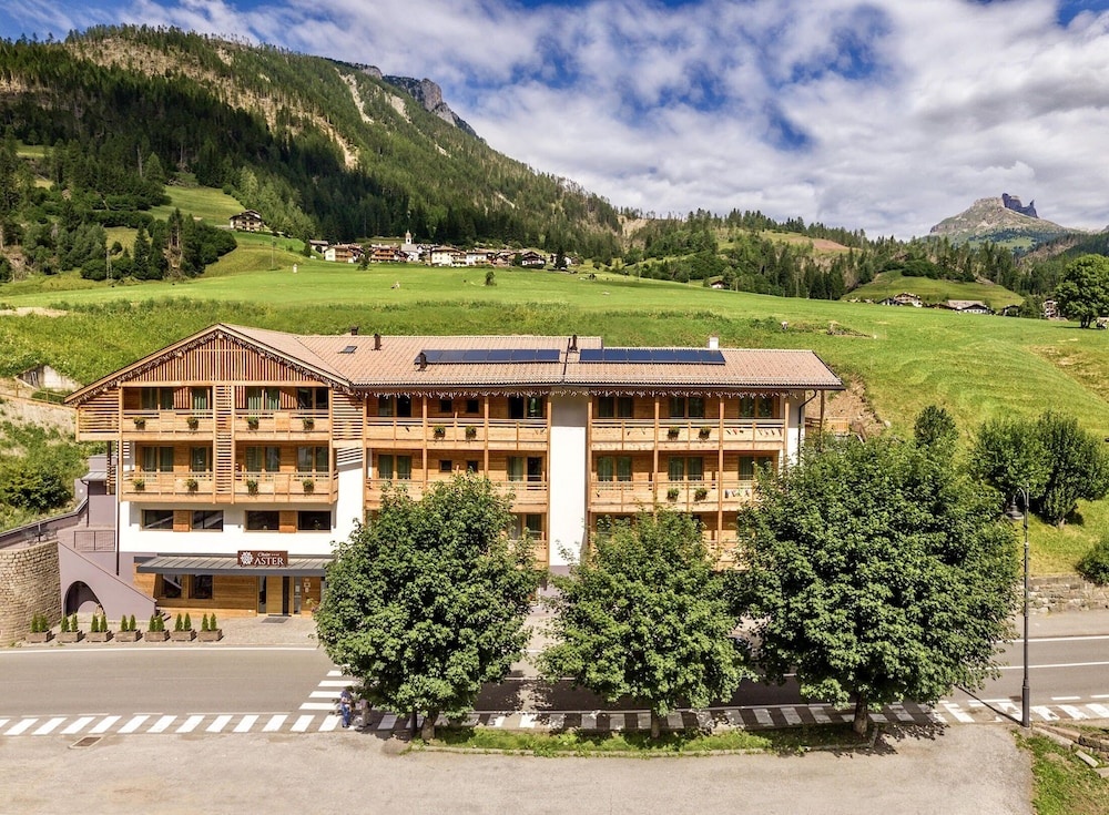 Chalet Aster