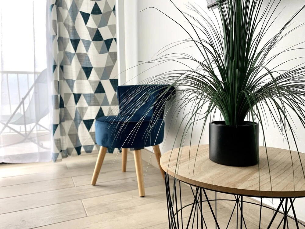 Appartement Le Morpho