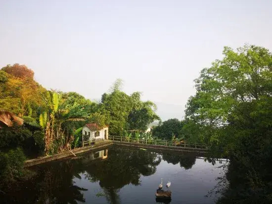 Taole Forest Hostel