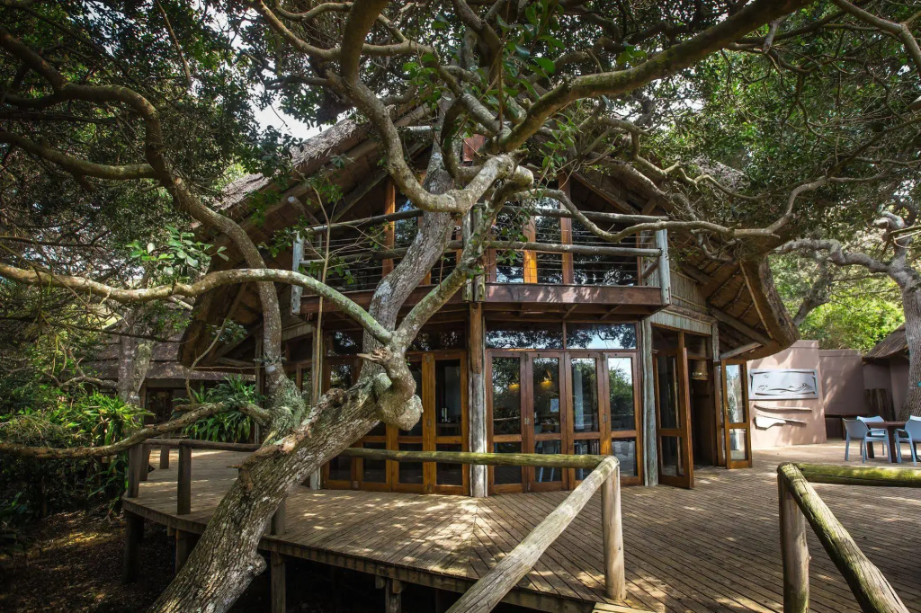 Thonga Beach Lodge