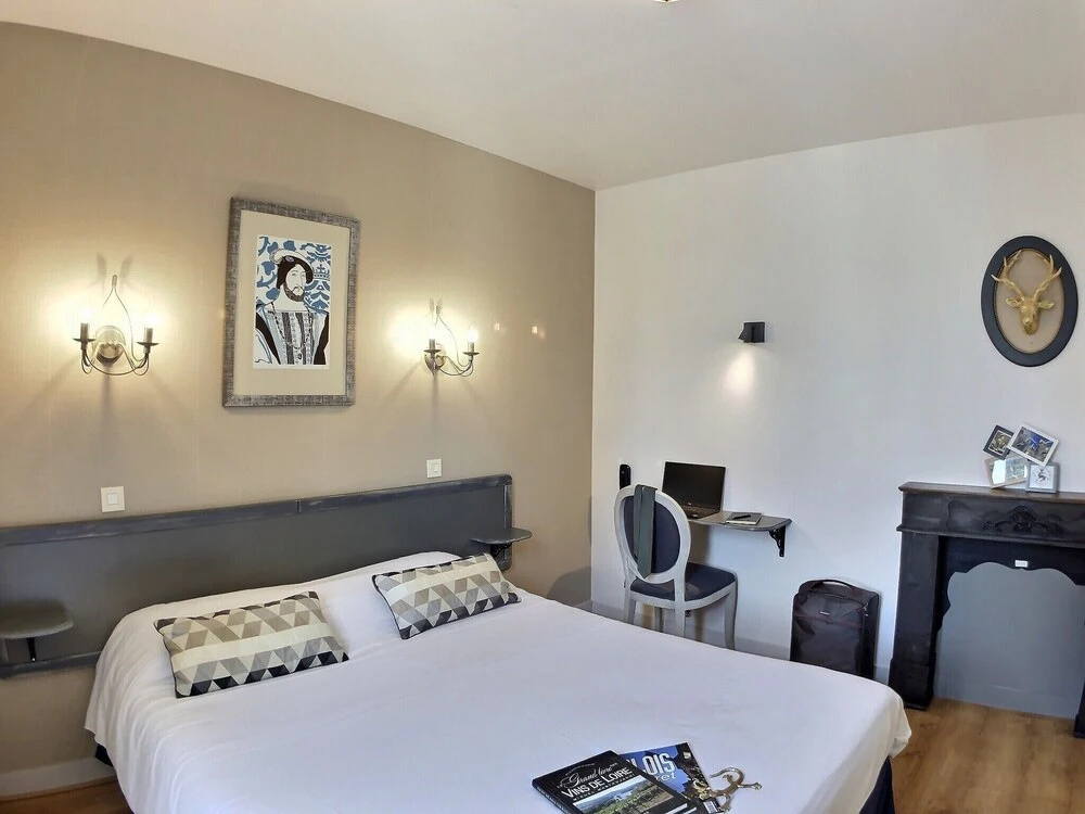 Logis Hôtel du Cygne