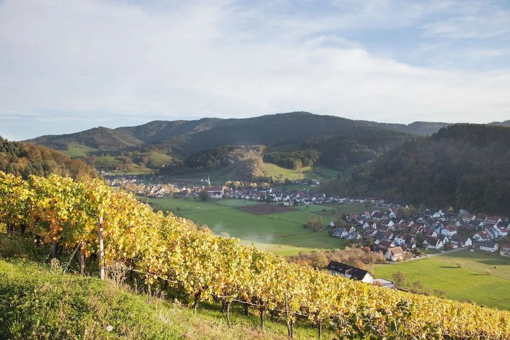 Hotel Gasthaus Adler