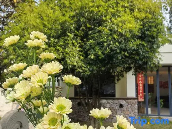 Hidden Reading·Fengyu Scenic Resort (Wanfenglin)