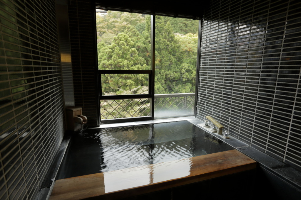 Hakone Nanase formerly known as Manatei Hakone