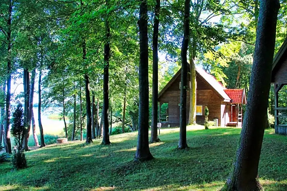 Wyspa Brzozowa