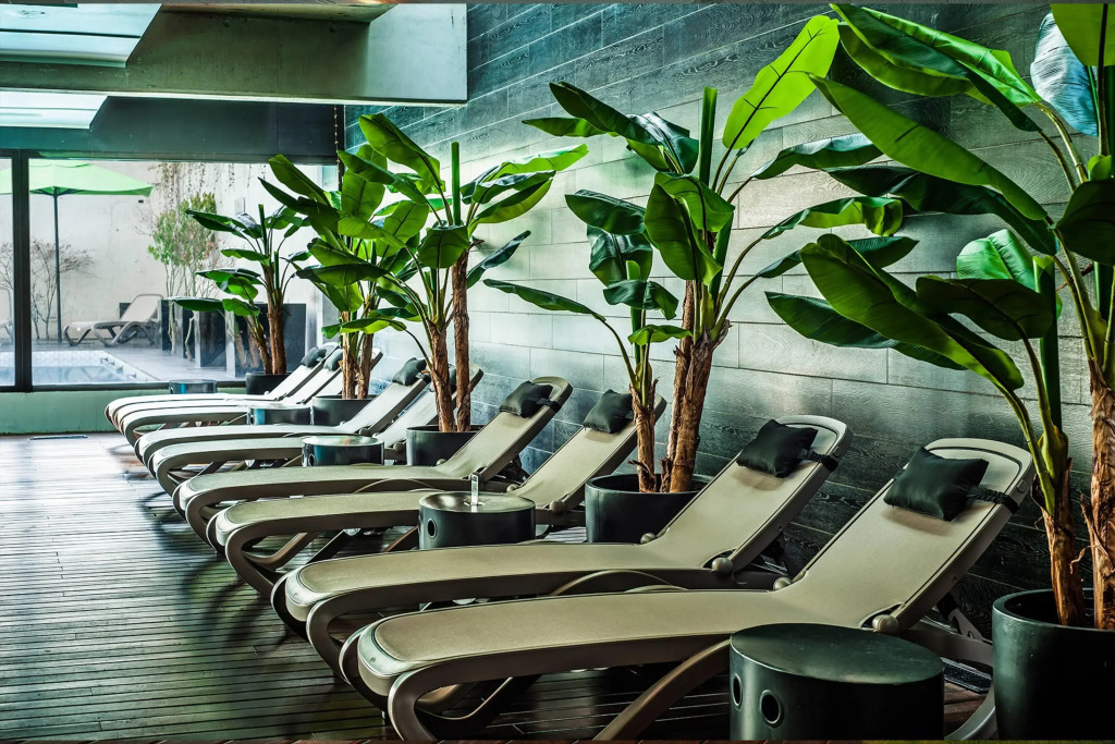 Wyndham Santiago Pettra