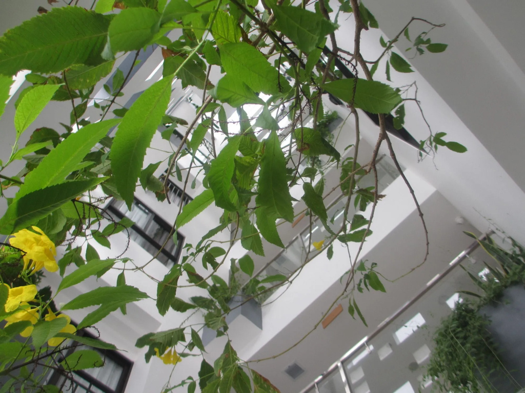Ale Nha Trang Hotel