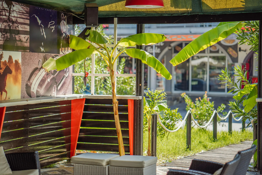 Cactus Hotel