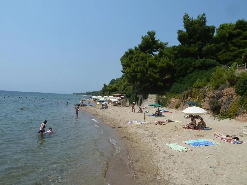 Dimi Apartments