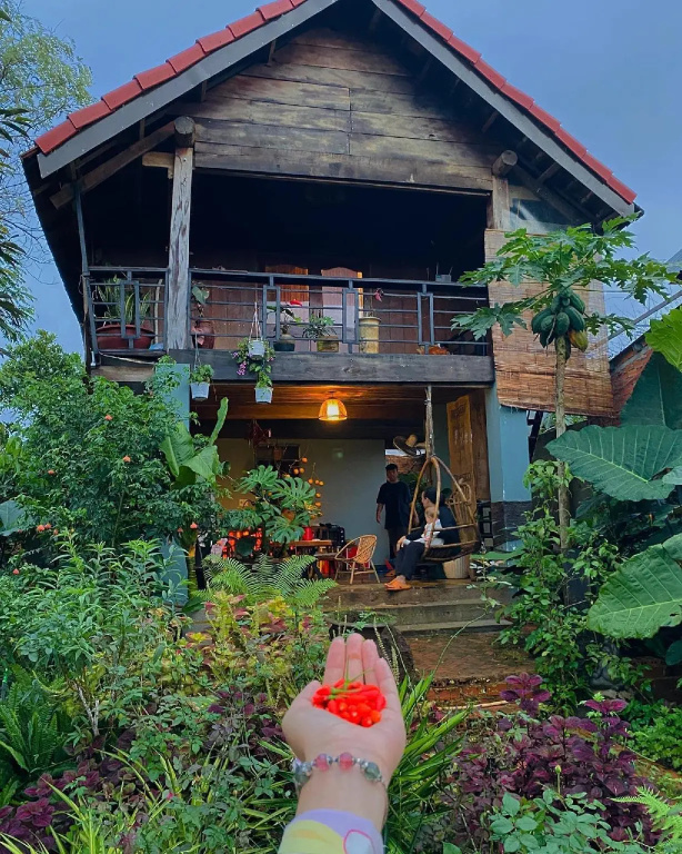 Queeny’s Farmstay Wooden House