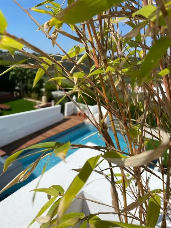 Casas Do Moinho - Turismo De Aldeia