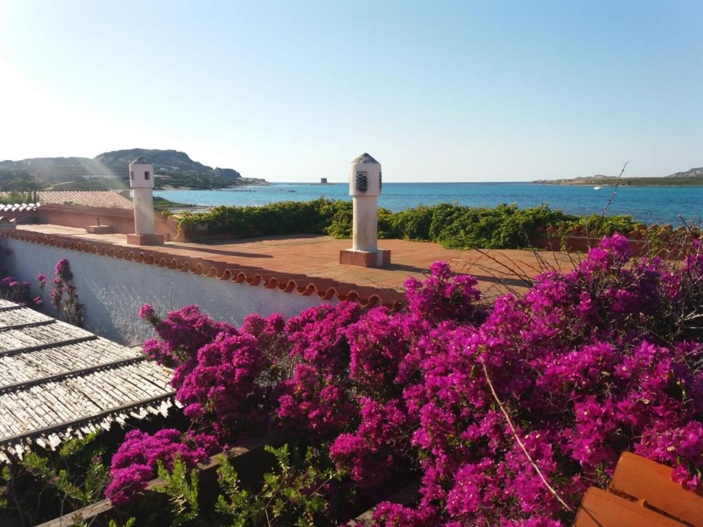 Villa Curiazzi Guesthouse Viale la Pelosa 16