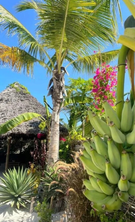 Sand Beach Boutique Hotel