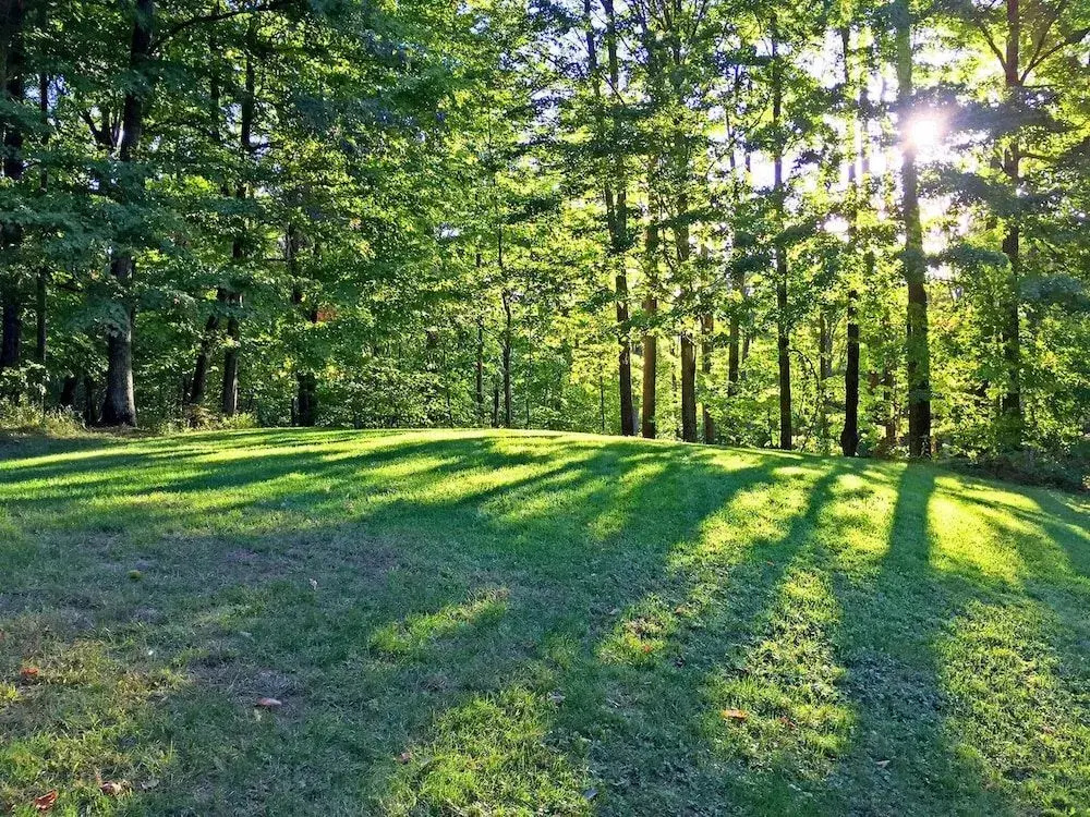 The Killington Cabin by Killington Vacation Rentals