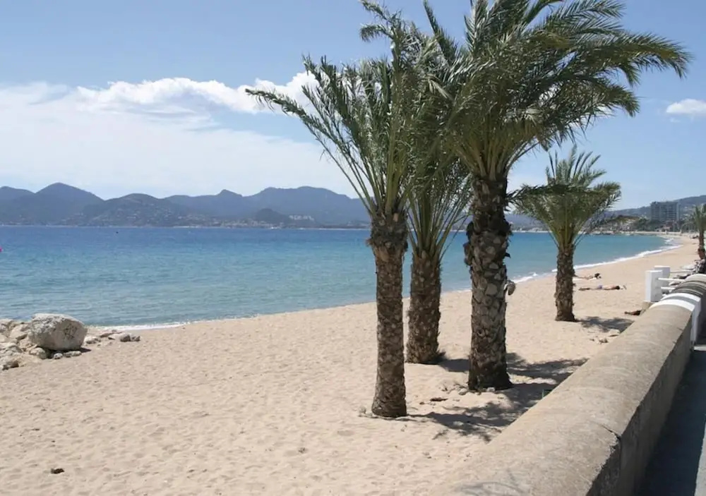 Totolulu Cannes Smart