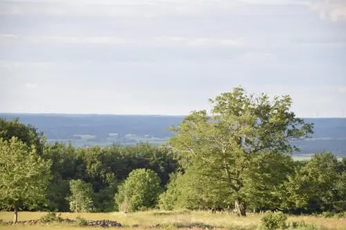 TjuvhultSE