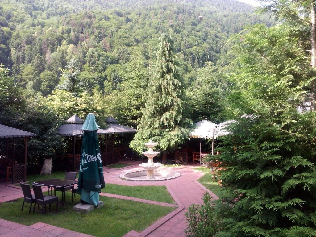 hotel Pchelina