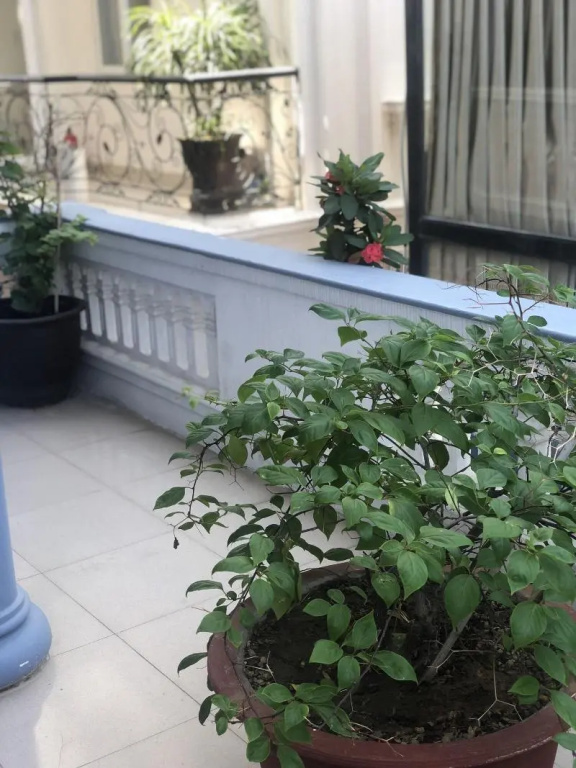 Eva Homestay