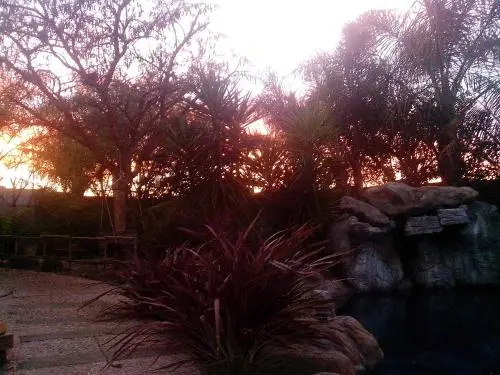 Protea Retreat